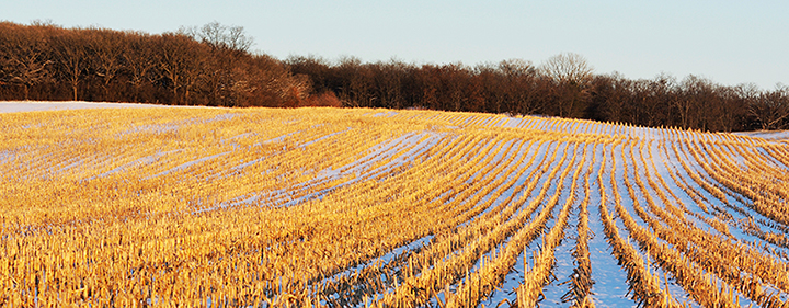 What Is the Value of Your Crop  Residue?
