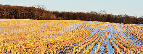 Residue field