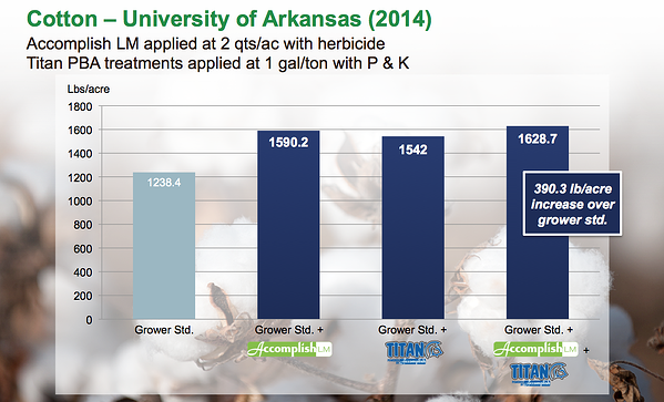 Cotton_University of Arkansas_2014