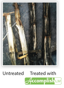 Residue - Treated vs. Untreated