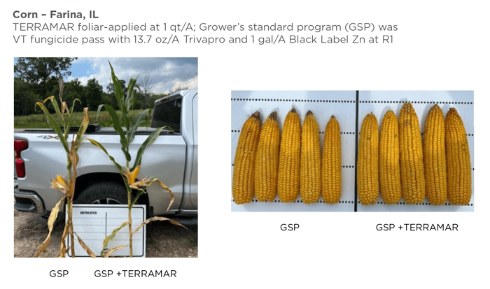 Terramar fungicide corn trial illinois