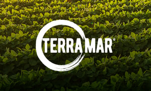 08-26 Terramar
