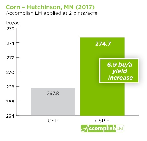 Accomplish Corn Hutchinson.jpg
