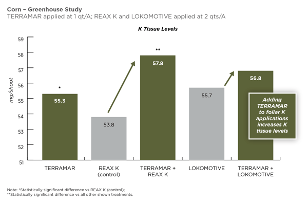 Corn-Terramar-ReaxK-Lokomotive-Potassium