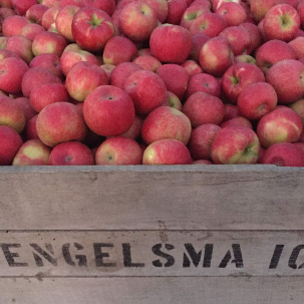 Engelsma Orchard