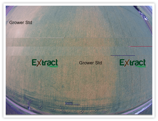 Extract soybeans aerial.png