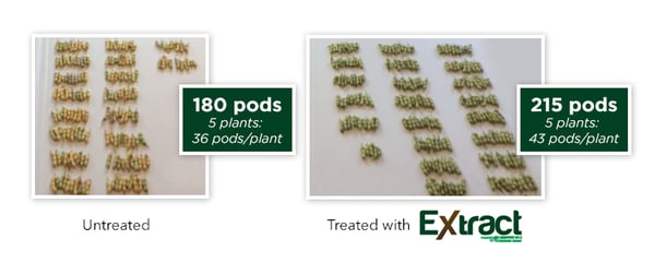 Extract-pods.png