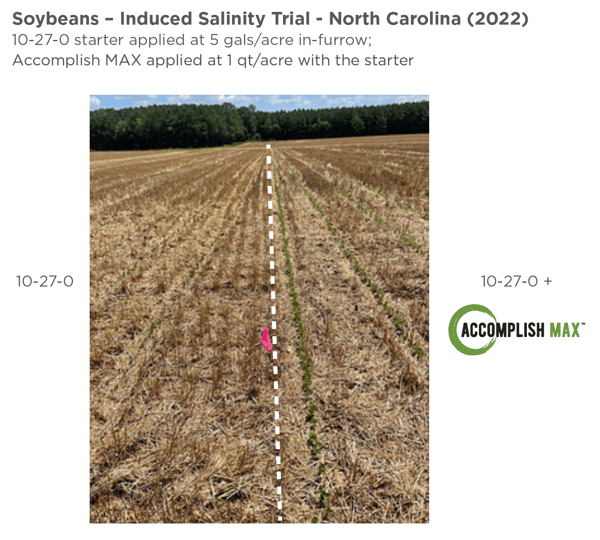 MAX-soybeans-NC-2022