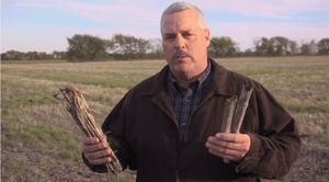 Steve Sexton Crop Residue