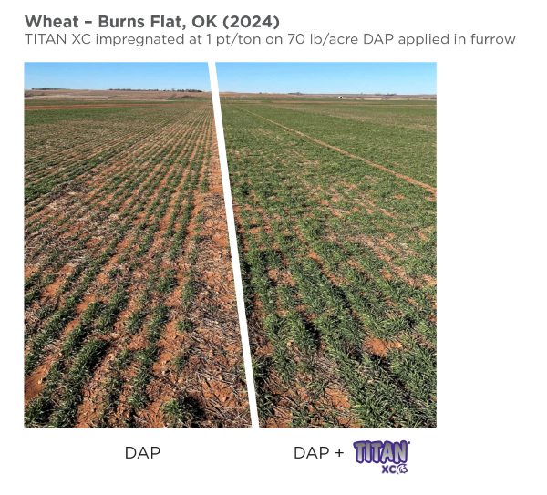 TITAN-wheat-OK-01