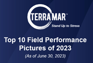 Terramar Top 10