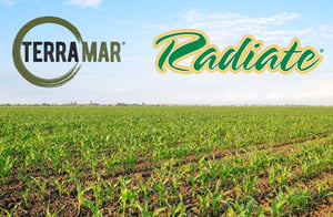 Terramar-Radiate_Cool_Conditions