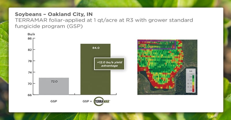 Terramar-fungicide-soybeans-IN