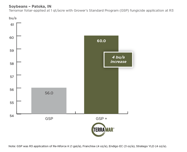 Terramar-soybeans