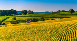 View of corn fields and farms in Southern York County, Pennsylvania.