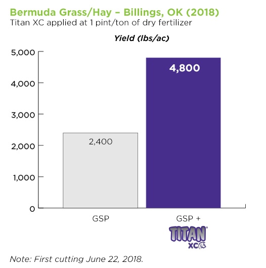 bermuda-grass-OK-3