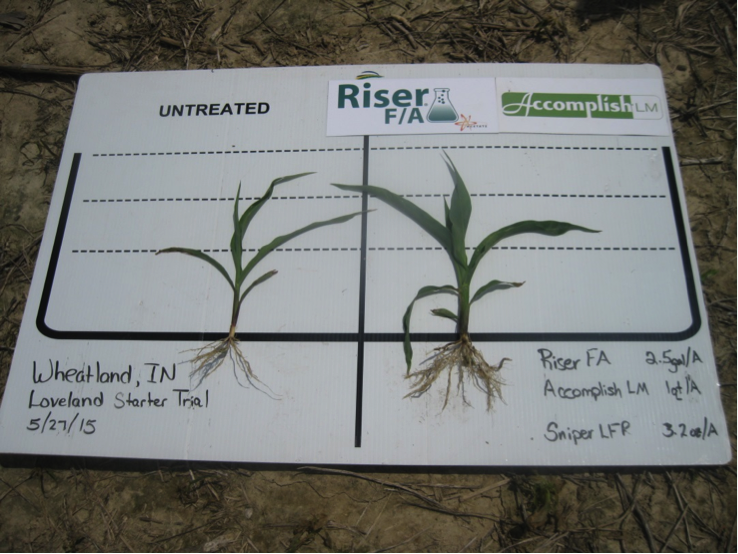 Starter Fertilizer Paying Off This Year