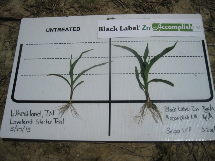 Starter Fertilizer Paying Off This Year