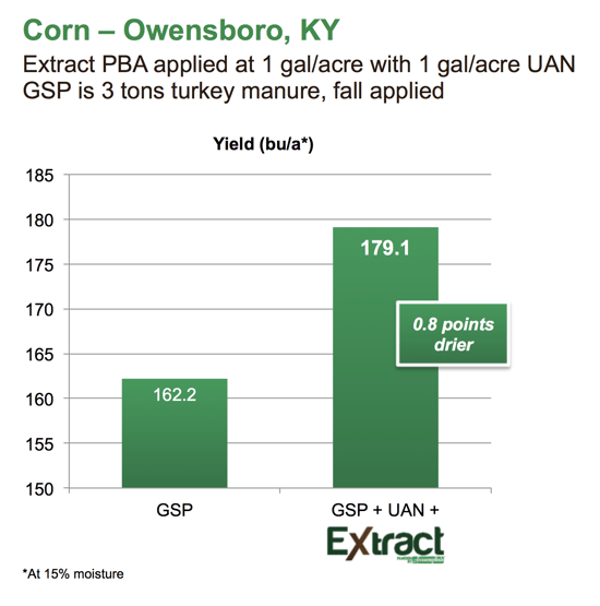 corn - owensboro 1