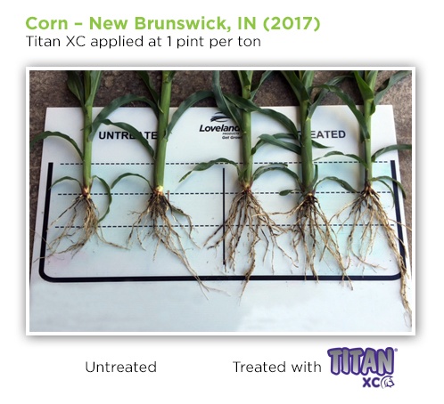 corn-root-dig-TitanXC-Indiana.jpg