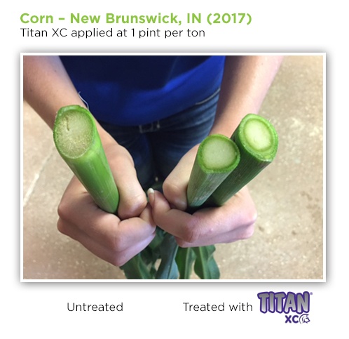 corn-stalk-density-TitanXC-Indiana.jpg