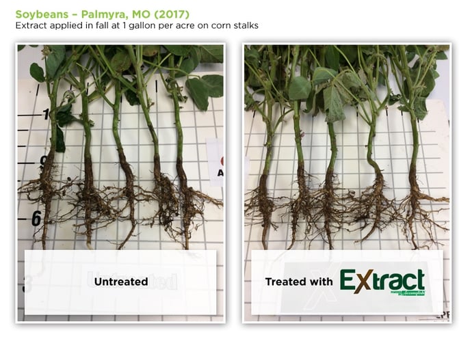 soybeans-roots-extract.jpg