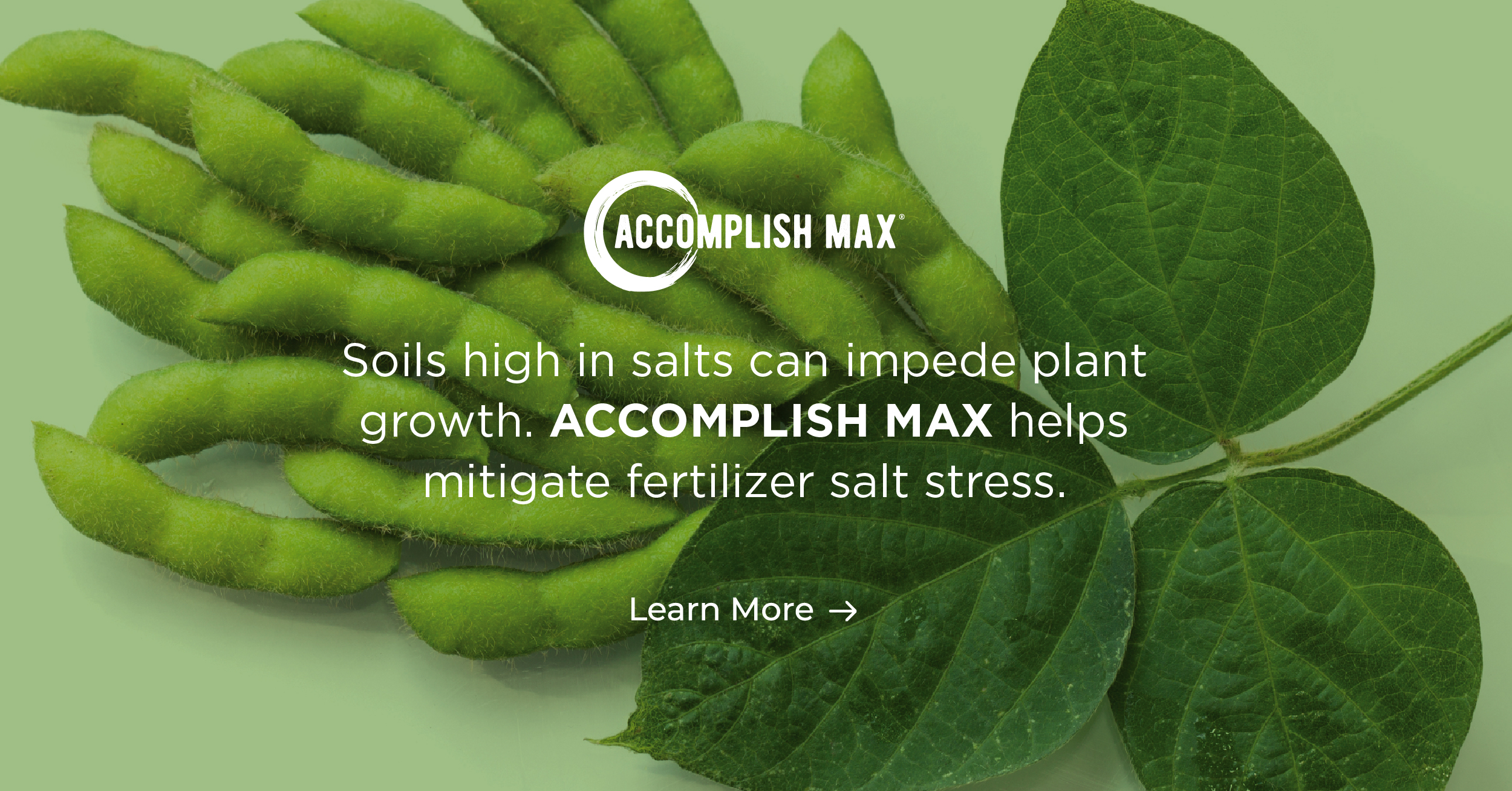 ACCOMPLISH MAX Helps Soybeans Overcome Fertilizer Salt Stress