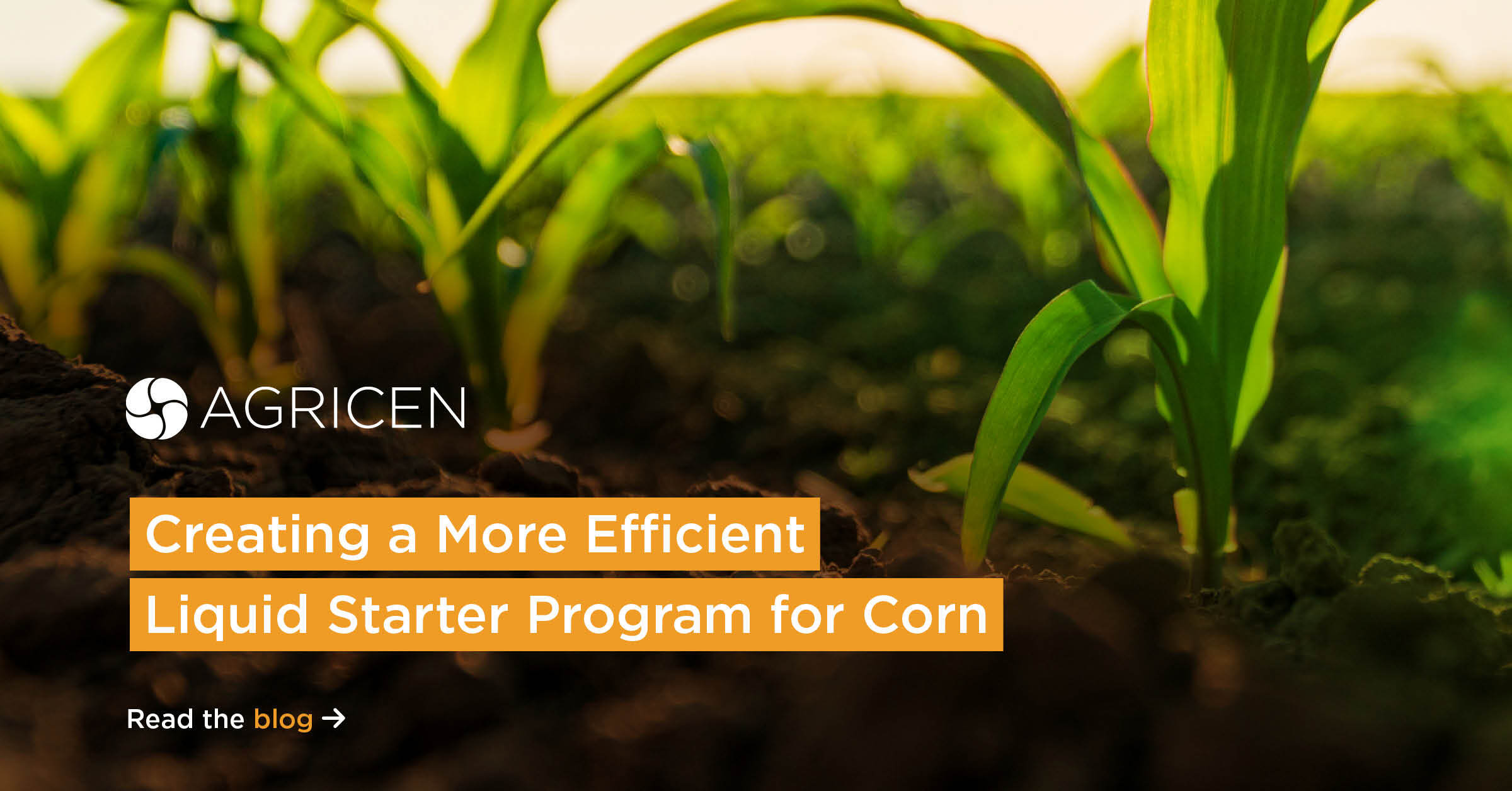 Creating a More Efficient Liquid Starter Program for Corn