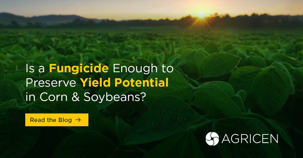 Is a Fungicide Enough to Preserve Yield Potential in Corn & Soybeans?