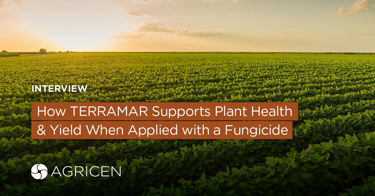 [Interview] How TERRAMAR Supports Plant Health & Yield When Applied with a Fungicide