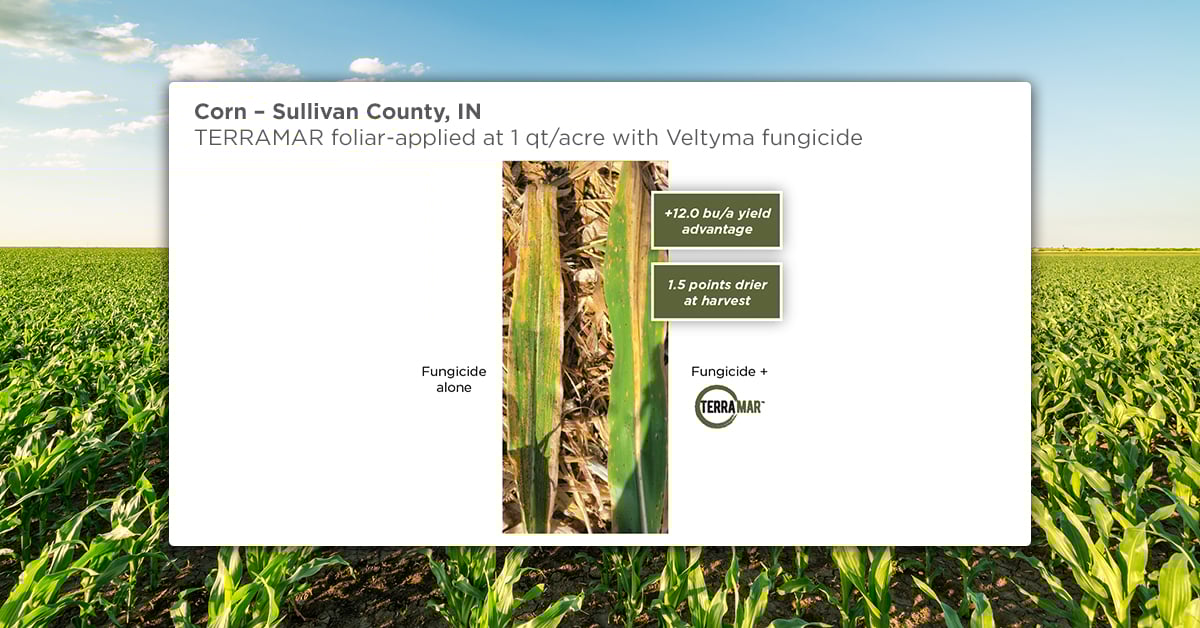 TERRAMAR Enhances Corn and Soybean Fungicide Applications