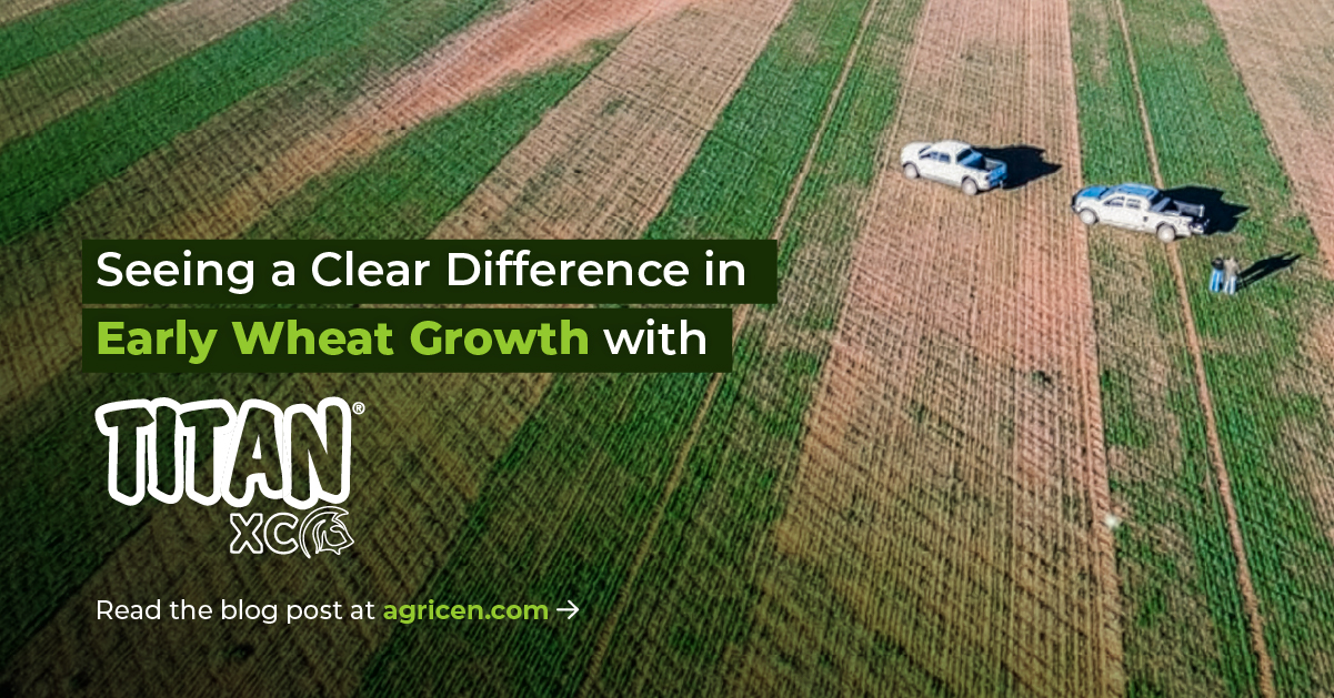 Seeing a Clear Difference in Early Wheat Growth with TITAN XC