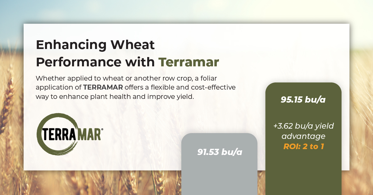 Enhancing Wheat Performance on Your Farm with TERRAMAR