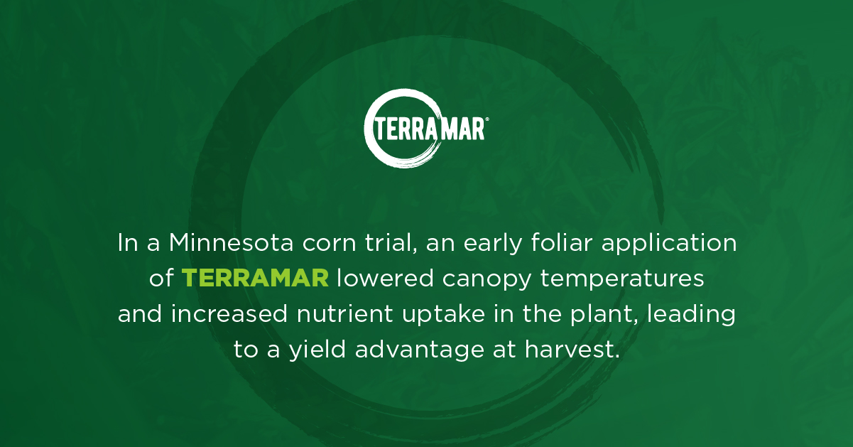 [Corn Trial] Lower Canopy Temperatures & More Nutrient Uptake with TERRAMAR