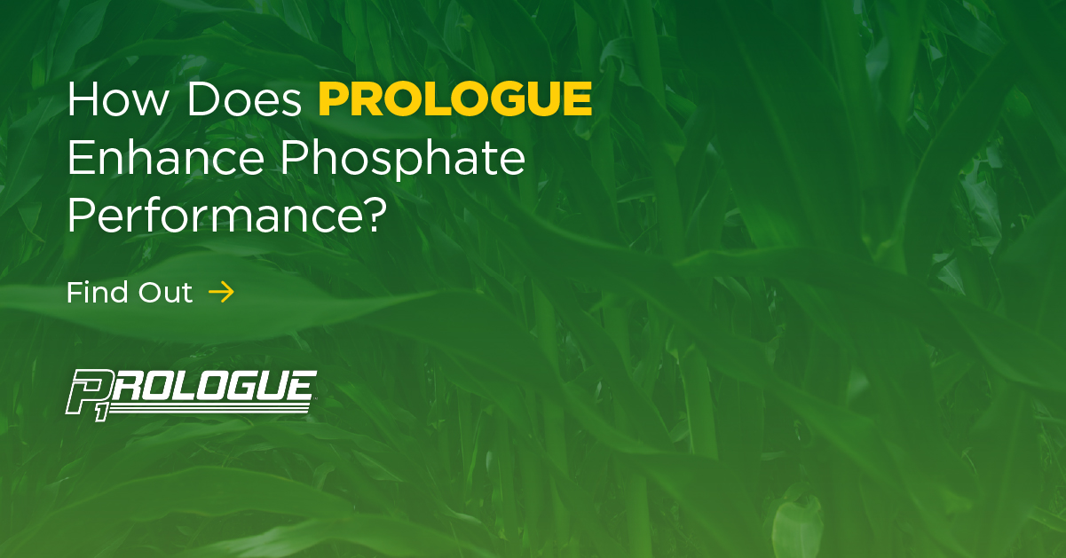 How Does PROLOGUE Enhance Phosphate Performance?