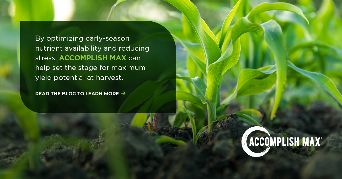 How ACCOMPLISH MAX Enhances Early Season Crop Vigor