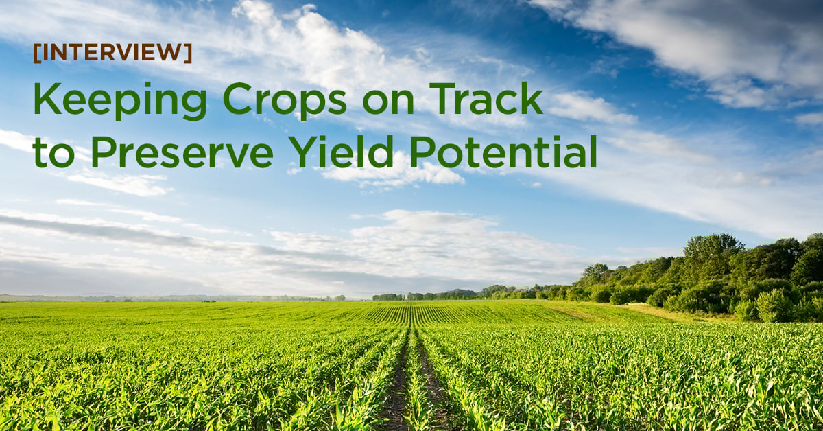 [Interview] Keeping Crops on Track to Preserve Yield Potential