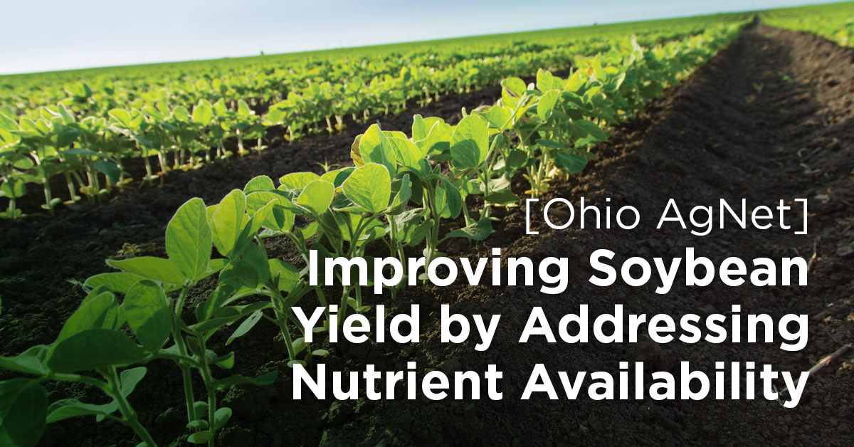 [Ohio AgNet] Improve Soybean Yield by Addressing Nutrient Availability