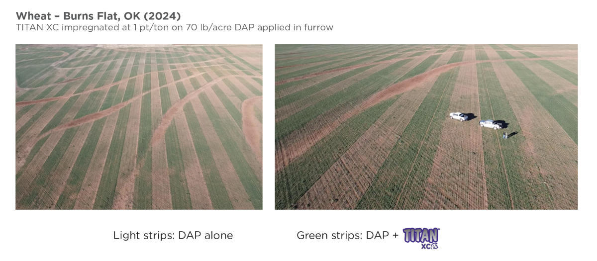 Seeing a Clear Difference in Early Wheat Growth with TITAN XC