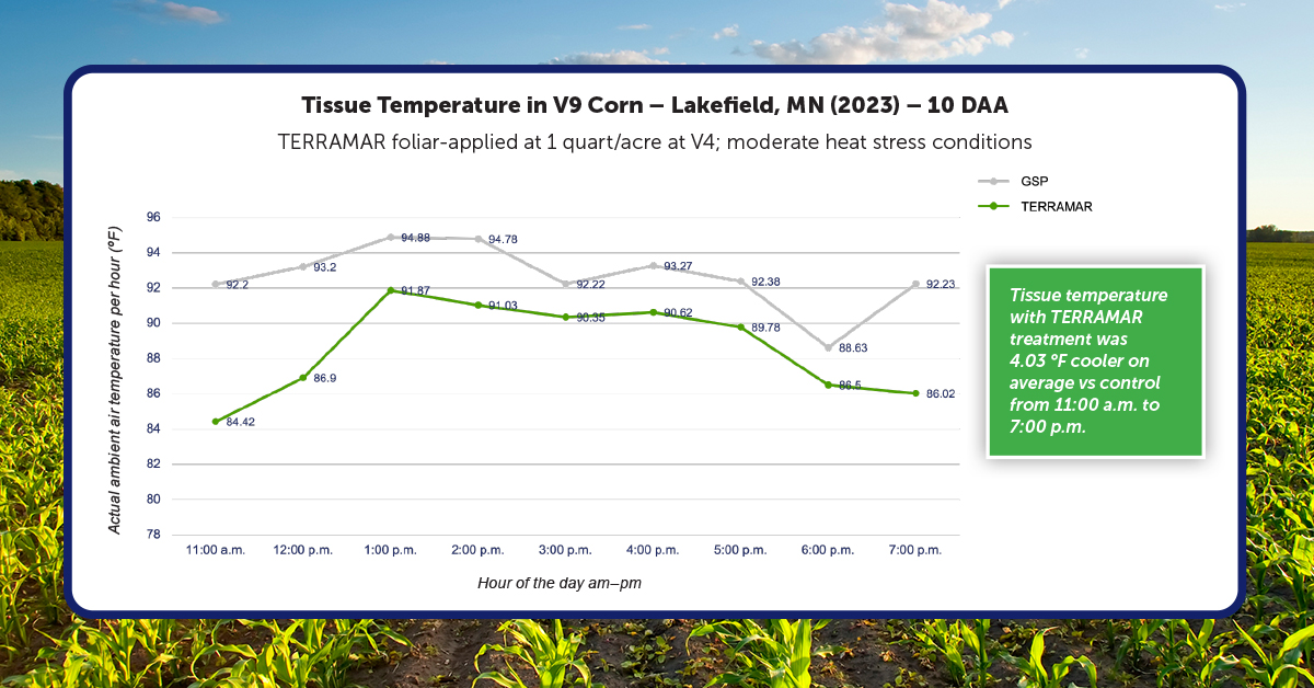 [Corn Trial] Lower Canopy Temperatures & Greater Nutrient Uptake with TERRAMAR