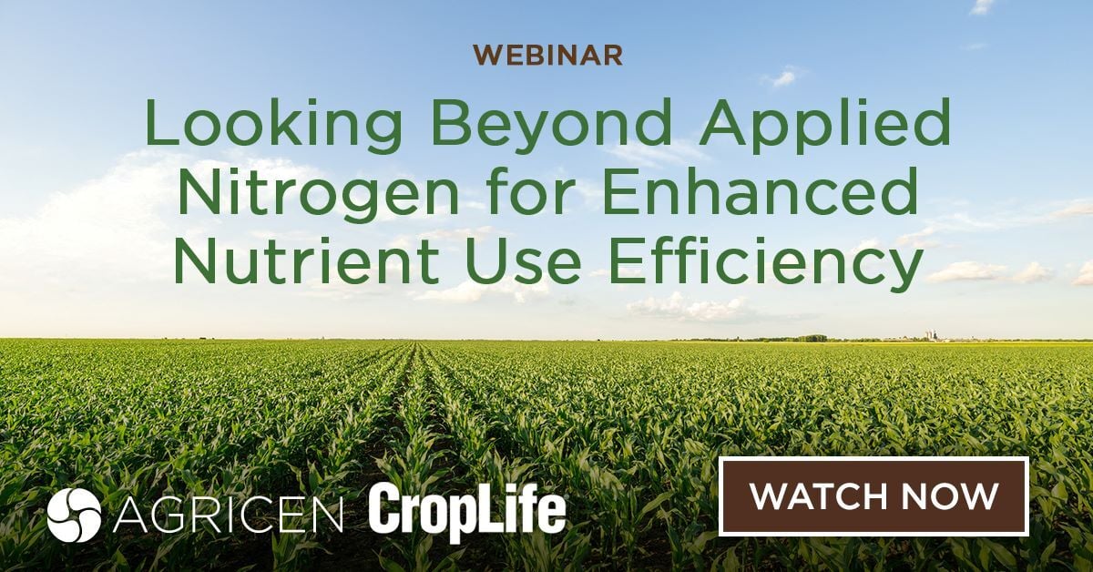 Looking Beyond Applied Nitrogen for Enhanced Nutrient Use Efficiency